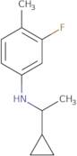 N-(1-Cyclopropylethyl)-3-fluoro-4-methylaniline