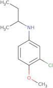 N-(Butan-2-yl)-3-chloro-4-methoxyaniline