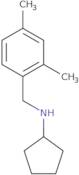 N-[(2,4-Dimethylphenyl)methyl]cyclopentanamine