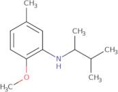 2-Methoxy-5-methyl-N-(3-methylbutan-2-yl)aniline