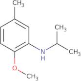 2-Methoxy-5-methyl-N-(propan-2-yl)aniline