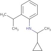 N-(1-Cyclopropylethyl)-2-(propan-2-yl)aniline