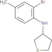 N-(2-Bromo-4-methylphenyl)thiolan-3-amine