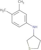 N-(3,4-Dimethylphenyl)thiolan-3-amine