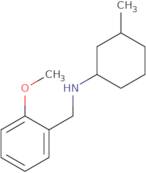 N-[(2-Methoxyphenyl)methyl]-3-methylcyclohexan-1-amine