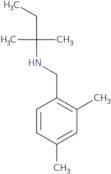 [(2,4-Dimethylphenyl)methyl](2-methylbutan-2-yl)amine