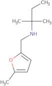 2-Methyl-N-[(5-methylfuran-2-yl)methyl]butan-2-amine