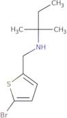 [(5-Bromothiophen-2-yl)methyl](2-methylbutan-2-yl)amine