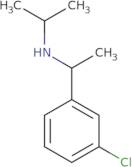 [1-(3-Chlorophenyl)ethyl](propan-2-yl)amine