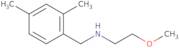 [(2,4-Dimethylphenyl)methyl](2-methoxyethyl)amine