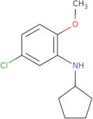 5-Chloro-N-cyclopentyl-2-methoxyaniline