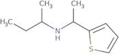 (Butan-2-yl)[1-(thiophen-2-yl)ethyl]amine