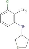 N-(3-Chloro-2-methylphenyl)thiolan-3-amine