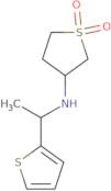 1,1-Dioxo-N-(1-thiophen-2-ylethyl)thiolan-3-amine