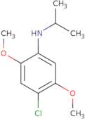 4-Chloro-2,5-dimethoxy-N-(propan-2-yl)aniline