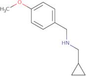 (Cyclopropylmethyl)[(4-methoxyphenyl)methyl]amine