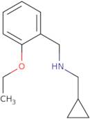 (Cyclopropylmethyl)[(2-ethoxyphenyl)methyl]amine