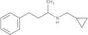 (Cyclopropylmethyl)(4-phenylbutan-2-yl)amine