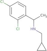 (Cyclopropylmethyl)[1-(2,4-dichlorophenyl)ethyl]amine