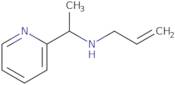 (Prop-2-en-1-yl)[1-(pyridin-2-yl)ethyl]amine