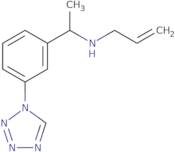 (Prop-2-en-1-yl)({1-[3-(1H-1,2,3,4-tetrazol-1-yl)phenyl]ethyl})amine