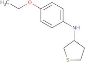 N-(4-Ethoxyphenyl)thiolan-3-amine