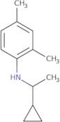 N-(1-Cyclopropylethyl)-2,4-dimethylaniline