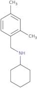 N-[(2,4-Dimethylphenyl)methyl]cyclohexanamine