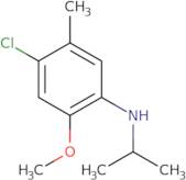 4-Chloro-2-methoxy-5-methyl-N-(propan-2-yl)aniline