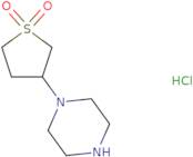 3-(Piperazin-1-yl)tetrahydrothiophene 1,1-dioxide hydrochloride