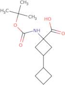 1-{[(tert-Butoxy)carbonyl]amino}-3-cyclobutylcyclobutane-1-carboxylic acid