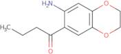 1-(7-Amino-2,3-dihydro-1,4-benzodioxin-6-yl)butan-1-one