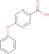 5-Phenoxypyridine-2-carboxylic acid