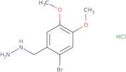 [(2-Bromo-4,5-dimethoxyphenyl)methyl]hydrazine hydrochloride