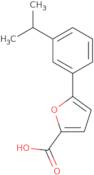 5-[3-(Propan-2-yl)phenyl]furan-2-carboxylic acid