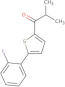 1-[5-(2-Iodophenyl)thiophen-2-yl]-2-methylpropan-1-one