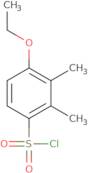 4-Ethoxy-2,3-dimethylbenzene-1-sulfonyl chloride