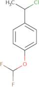 1-(1-Chloroethyl)-4-(difluoromethoxy)benzene