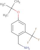 [4-(tert-Butoxy)-2-(trifluoromethyl)phenyl]methanamine