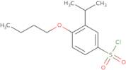 4-Butoxy-3-(propan-2-yl)benzene-1-sulfonyl chloride