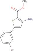 Methyl 3-amino-5-(3-bromophenyl)thiophene-2-carboxylate