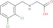 (2,3-Dichloro-benzylamino)-acetic acid