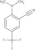 2-(Dimethylamino)-5-(trifluoromethyl)benzonitrile