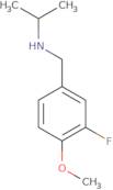 [(3-Fluoro-4-methoxyphenyl)methyl](propan-2-yl)amine