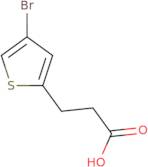 3-(4-Bromothiophen-2-yl)propanoic acid