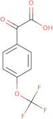 2-Oxo-2-[4-(trifluoromethoxy)phenyl]acetic acid