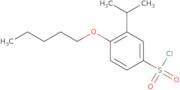4-(Pentyloxy)-3-(propan-2-yl)benzene-1-sulfonyl chloride