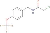 2-Chloro-N-{[4-(trifluoromethoxy)phenyl]methyl}acetamide