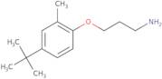 1-(3-Aminopropoxy)-4-tert-butyl-2-methylbenzene