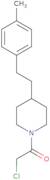 2-Chloro-1-{4-[2-(4-methylphenyl)ethyl]piperidin-1-yl}ethan-1-one